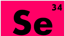 Selenide × Spring Bootだと上手く動かない場合がある【バージョン依存】